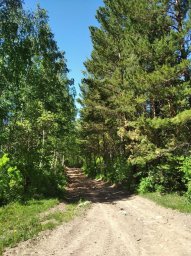 Фото В. Володина