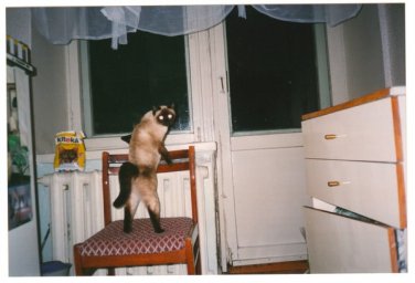 Симка