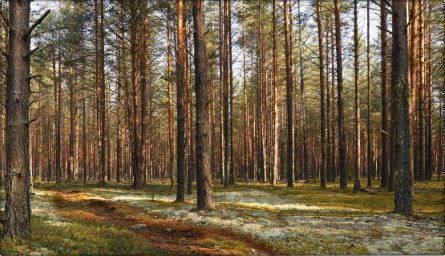 Экскурсия Экскурсия